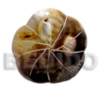 40mm blacklip scallop with groove