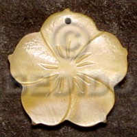 flower mother of pearl shell (MOP) 40mm