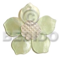 45mm light green hammershell flower with carved