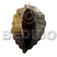 leaf blacklip with skin 45mmx35mm