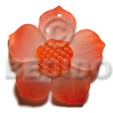 graduated red 40mm hammershell flower with grooved