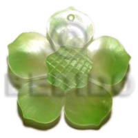 graduated lime green 25mm hammershell flower with