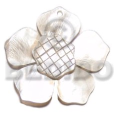 45mm hammershell flower with groove nectar