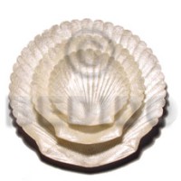 capiz king scallop shell without brass