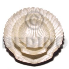 capiz king scallop shell without brass