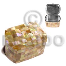 stainless metal casing with inlaid blocking brownlip