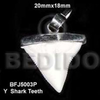 encasted y shark teeth pendant 20mmx18mm approximate