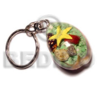 sigay with laminated seahells  can be