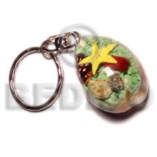 sigay with laminated seahells  can be