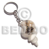 45mmx28mm white seashell resin with laminated seashell