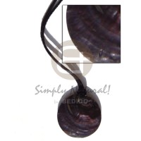 leather thong with 40mm round tipay