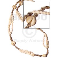 sigay scallop nassa white and tiger length =40