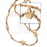 sigay flower tiger nassa length =40