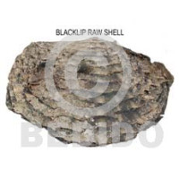 raw unpolished blacklip shells  asstd sizes
