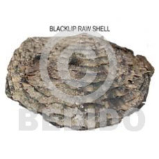 raw unpolished blacklip shells  asstd sizes