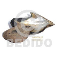 raw unpolished brownlip shells asstd sizes 