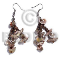dangling buri tiger seeds with 4 5mm coco natural brown and luhuanus