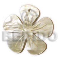 hammershell flower with groove 40mm
