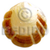 mother of pearl shell (MOP) with skin 80mm