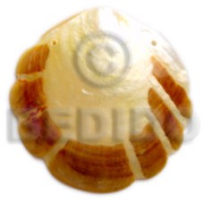 mother of pearl shell (MOP) with skin 80mm