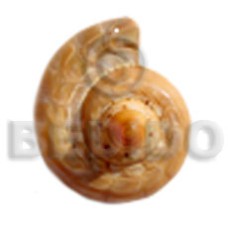 cone melo ( varying sizes )