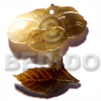 35mm brownlip flower with stem