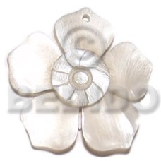 45mm hammershell flower with groove nectar