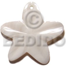 45mm kabibe shell star with rounded edges