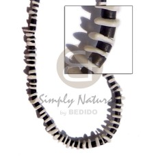 sq. cut white rose with 4 5 coco