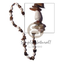 nassa with brownlip sq. cut combination