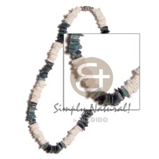 white rose with blue hammershell combination