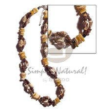 nassa tiger with sq. cut brownlip, 2 3mm